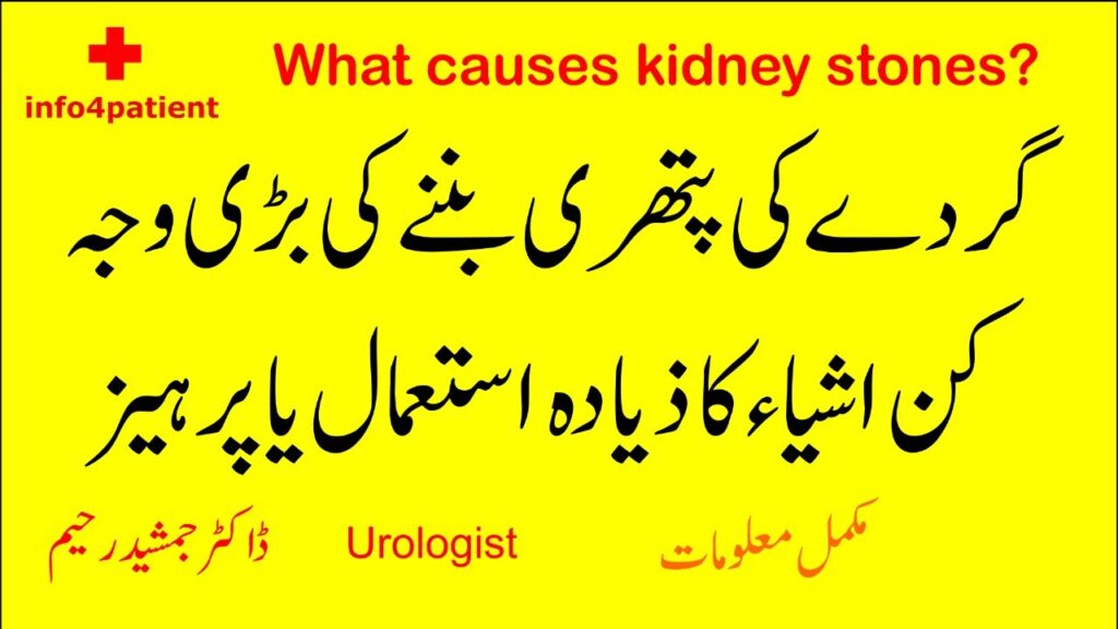 Kidney